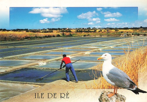 Ile re le - l,