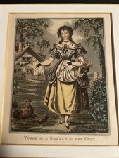 Jardinage Poules Roses