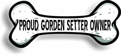 Proud gordon setter owner - setter, bone