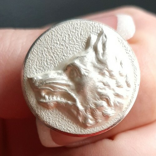 F05b06 tête loup blanc - f05b06,