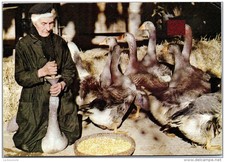 31 - les metiers de chez nous - La gaveuse d'oies.