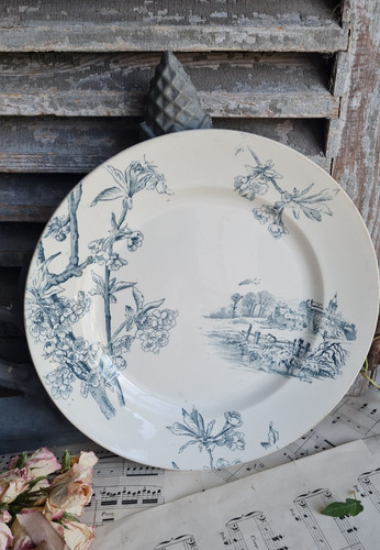 Ancien plat rond terre - plat,