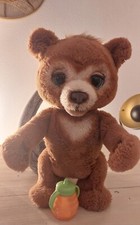 L Ours Cubby Curieux