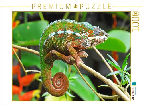 Calvendo puzzle - calvendo,