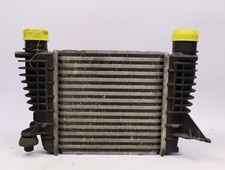 Echangeur air occasion NISSAN JUKE Phase 1 - 1.5 DCI 110ch -