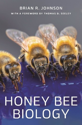 Brian johnson honey bee - brian,