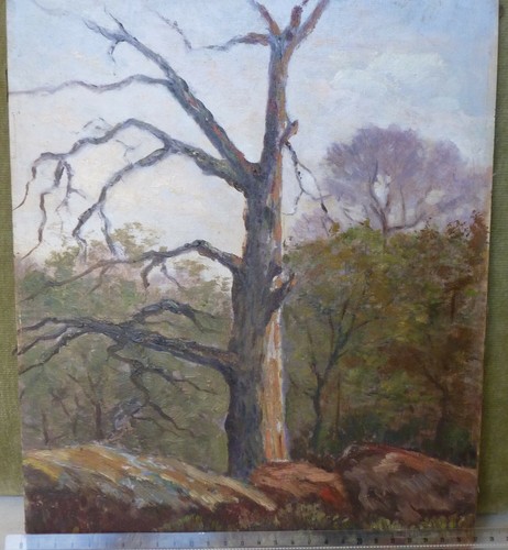 Huile carton originale - , albert
