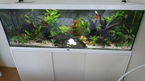 Aquarium complet avec - , poissons