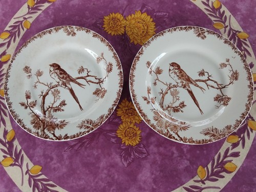 Assiettes plates porcelaine - 2,