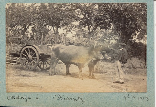 Biarritz 1880 paysan - c.,