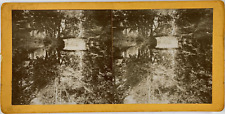 Stéréo, pont, jardin, étang à identifier Vintage stereo card  Tirage albuminé 
