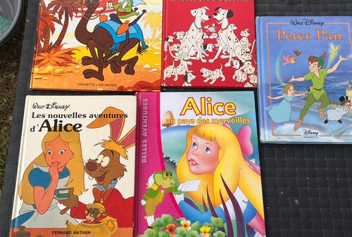 Lot livres disney - livres,
