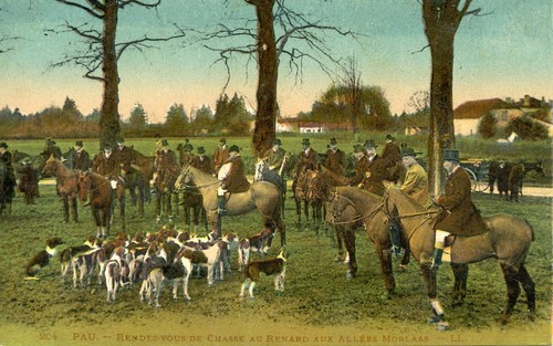 Carte postale pau - postale, rendez