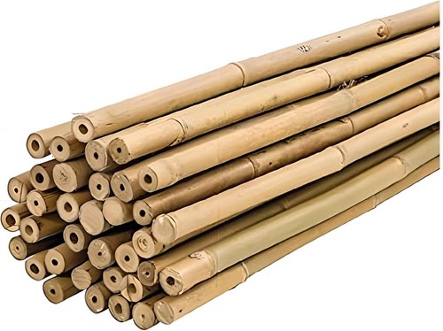 Tuteurs plantawa bambou - plantawa,