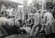 Photo de presse vintage