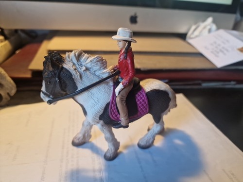 Cavaliere scleich sur cheval - cavaliere,