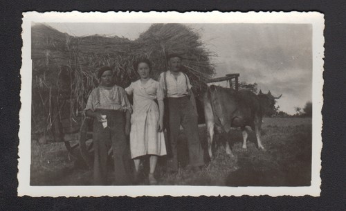 Travail agricole photo - travail, /