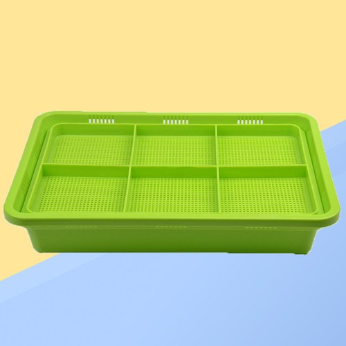 Plateau germoir kit culture - germoir,