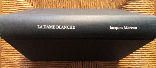 Livre roman dame blanche - blanche, de