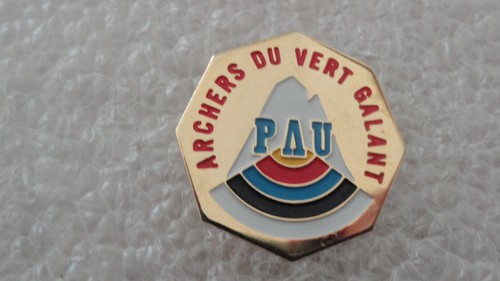 Pin tir arc - pin, a