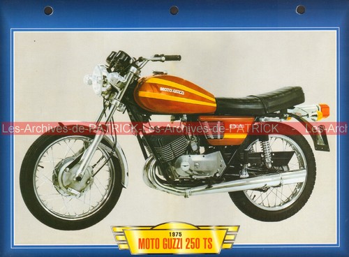 Moto guzzi 250 - moto, ts