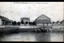 LES BRUYERES-RADON (58) BOVINS