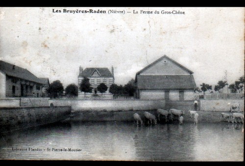 Les bruyeres radon bovins - bruyeres-radon, (58)