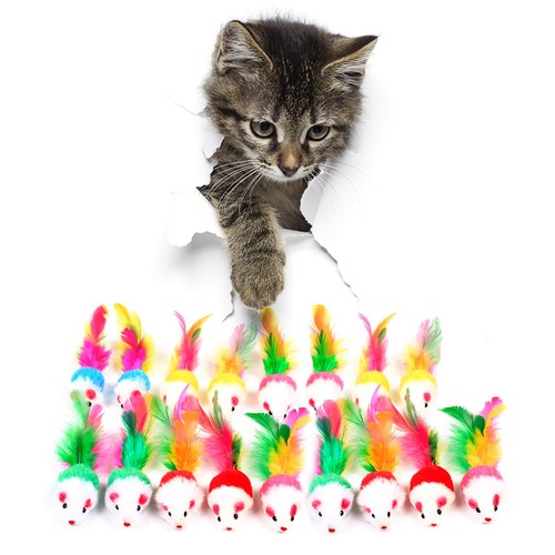 Lot souris pour chat - souris,