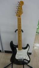 Fender Roland-Ready