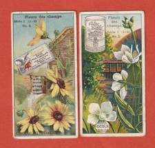 2 CHROMOS  - CHOCOLAT TOBLER - FLEURS DES CHAMPS