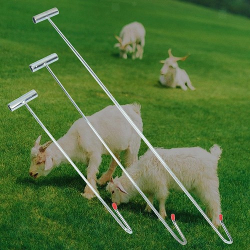 Outil capture moutons - outil, de