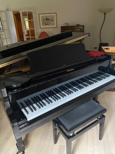 Piano quart queue - de, samick