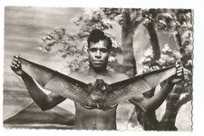 NOUVELLE CALEDONIE  NOUMEA  LA ROUSSETTE