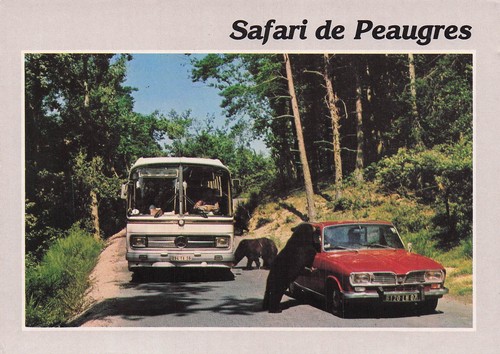Peaugres safari - peaugres,