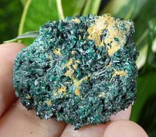 Atacamite verte scintillante