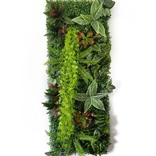 Mur végétal plantes - végétal,