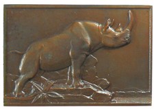 France Rhinocéros Par Thenot