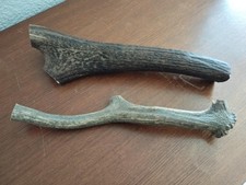 2 BOIS MUES CERF 32/31CM