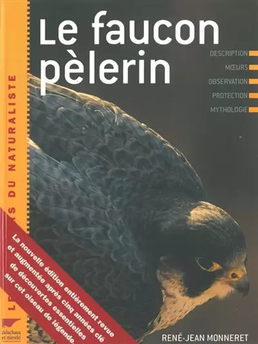 Faucon pèlerin rené - pèlerin,, rené-jean