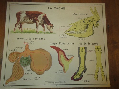 Affiche planche ecole - /,