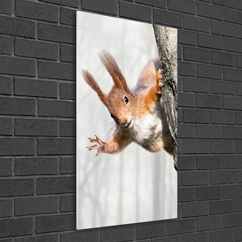 Tulup image sur verre - image,