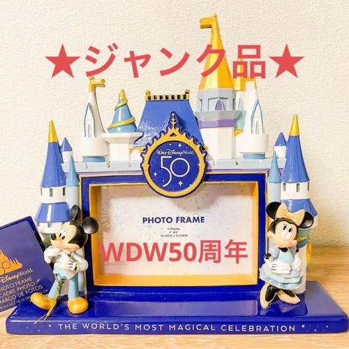 Cadre photo walt disney world - photo,