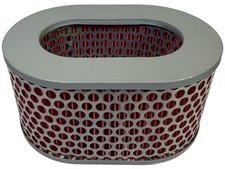 Filtre à air pour Agria 3400