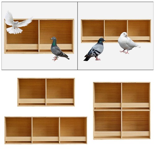 Nichoir pour perruches cage - pour, perruches,