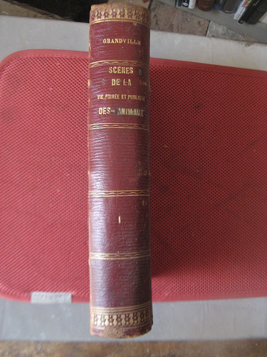 634 scènes de la - scènes, vie