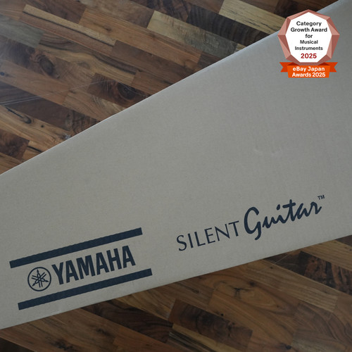 Guitare acoustique silencieuse