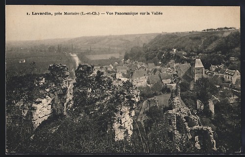 Cpa lavardin vue panoramique - cpa,