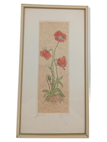 Bild image pavot rouge cadre - pavot,