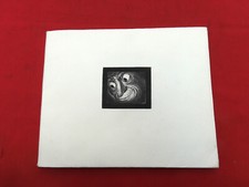 CURIOSA Les Voyeurs illustré