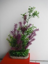 PLANTE D AQUARIUM  BOUQUET H 37 CM VERT MAUVE SUR SOCLE + PIERRES 
